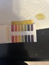 IMG_2155.jpeg